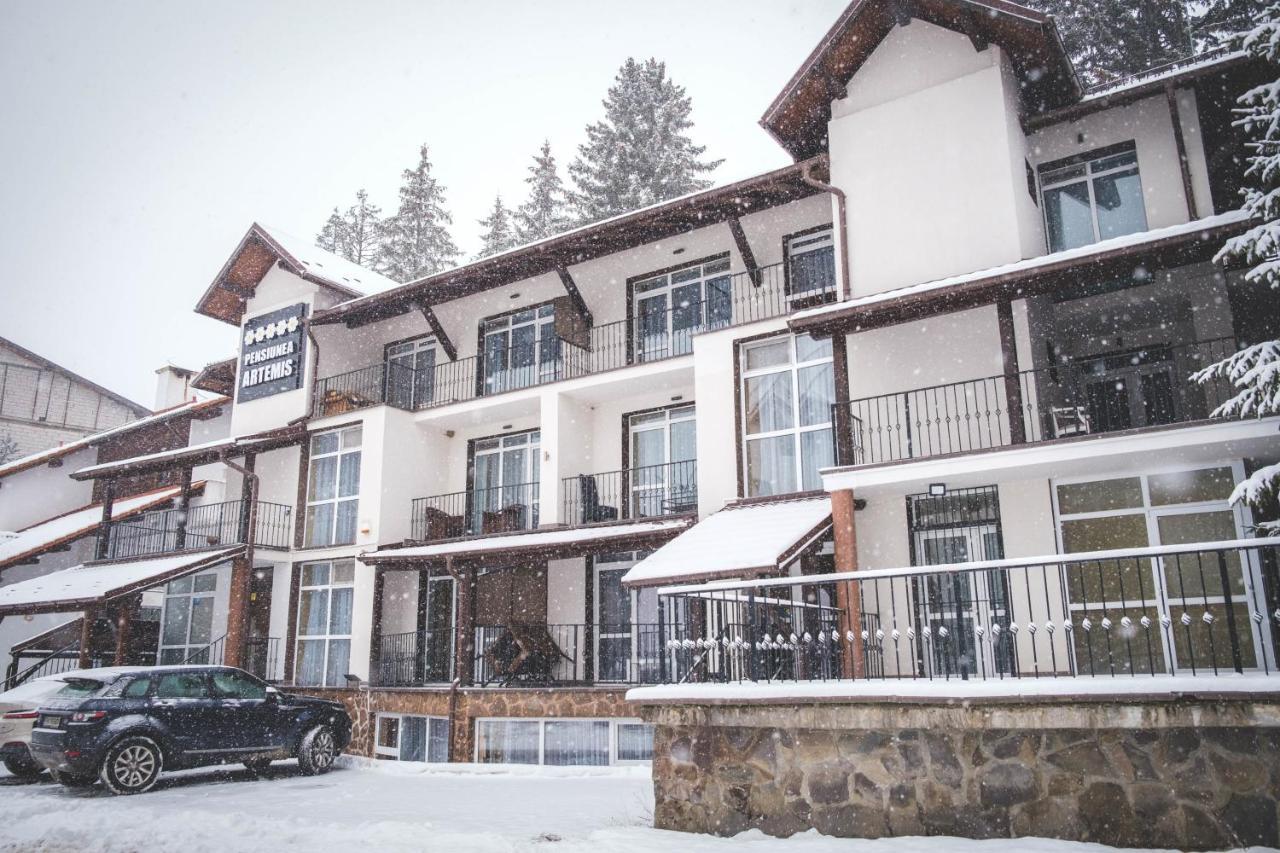 Artemis Villa Poiana Brasov Εξωτερικό φωτογραφία
