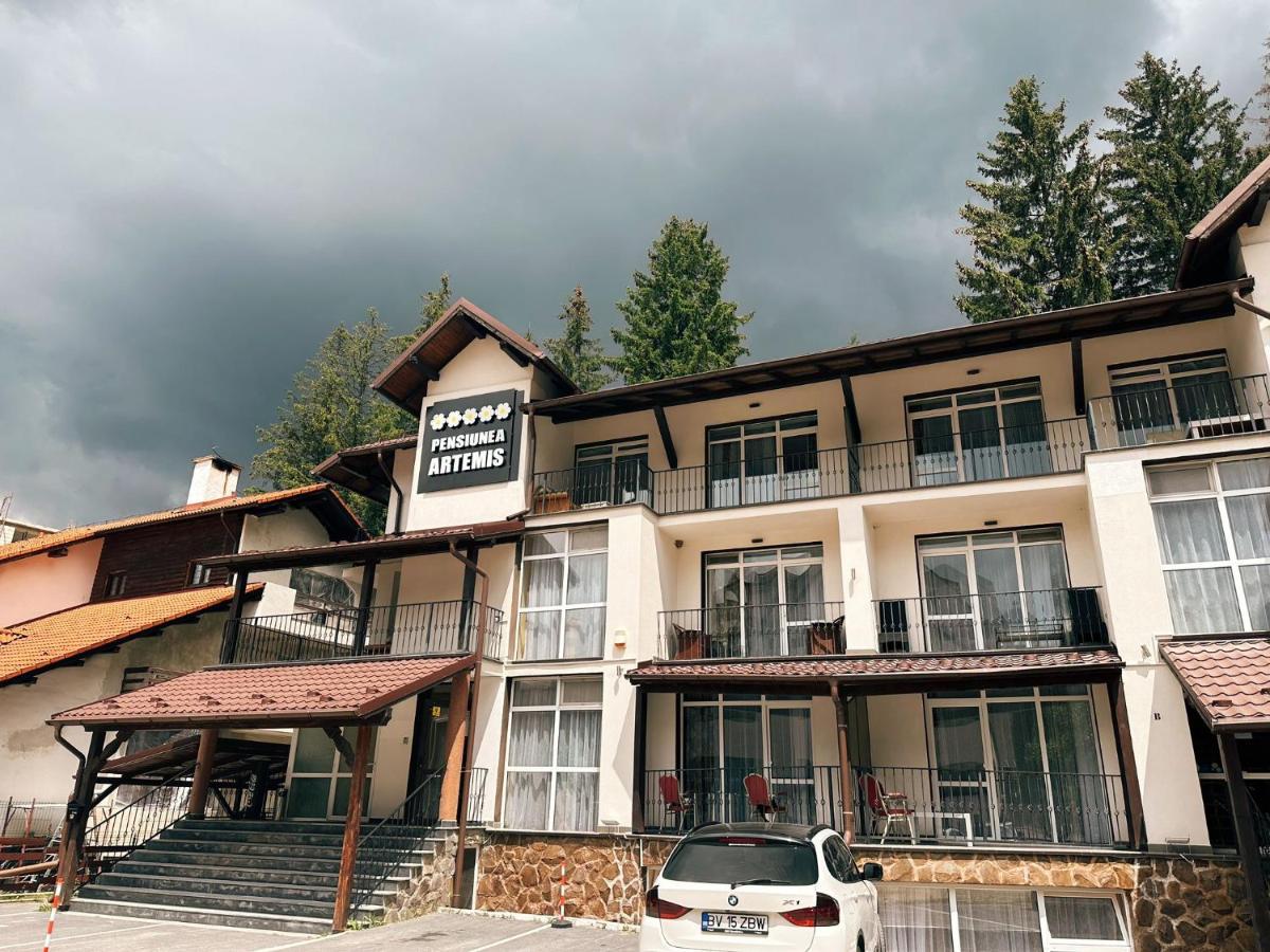 Artemis Villa Poiana Brasov Εξωτερικό φωτογραφία