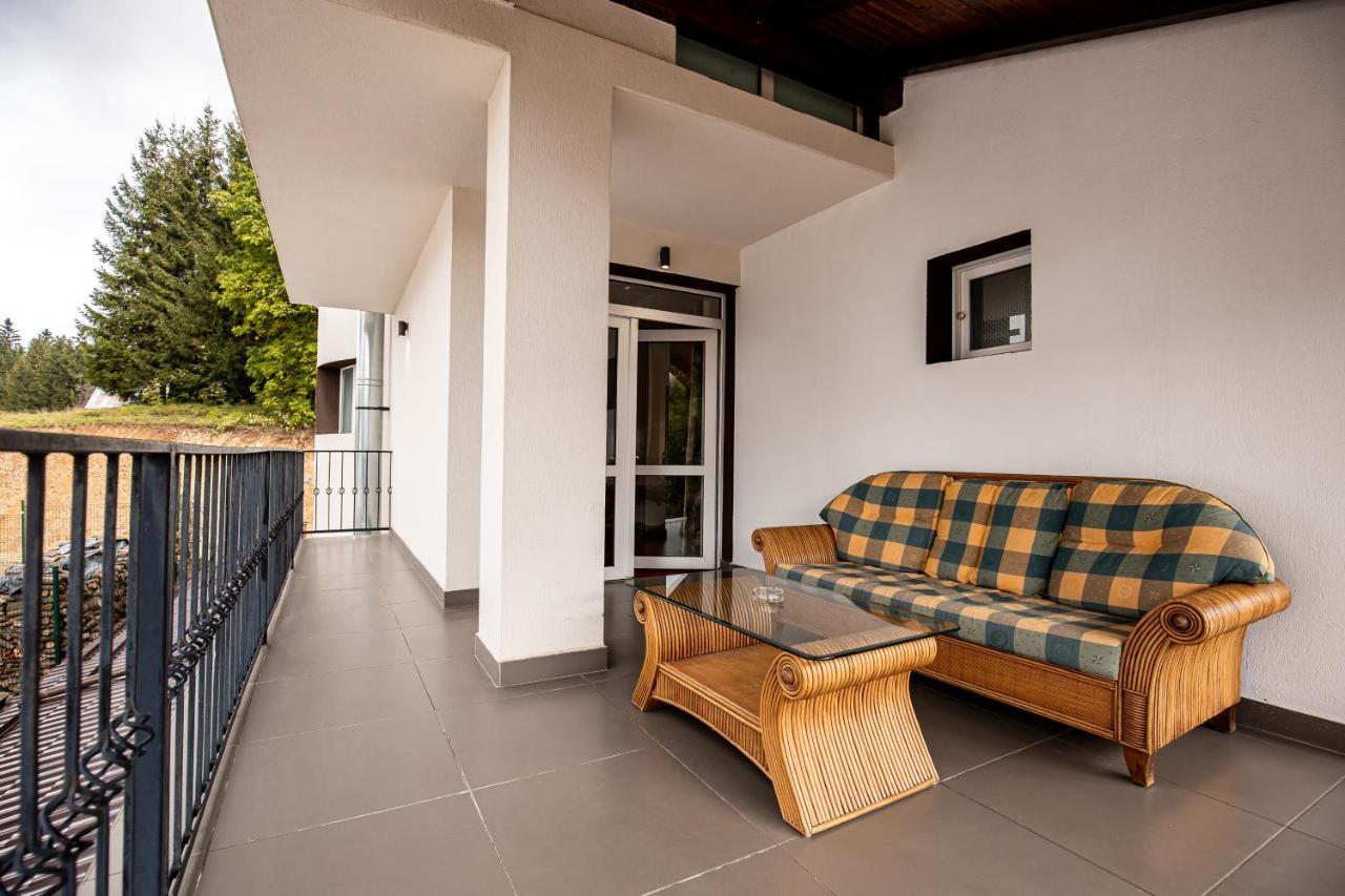 Artemis Villa Poiana Brasov Εξωτερικό φωτογραφία