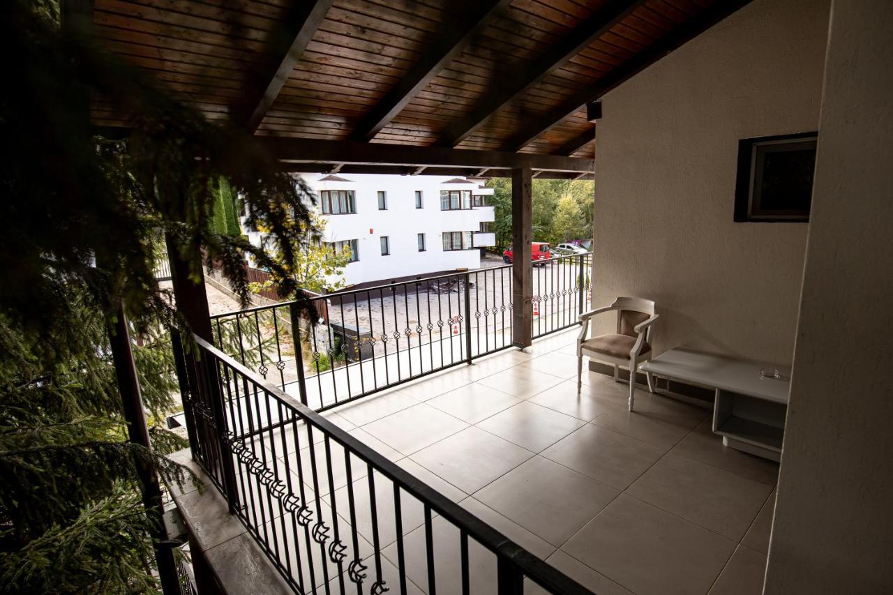 Artemis Villa Poiana Brasov Εξωτερικό φωτογραφία