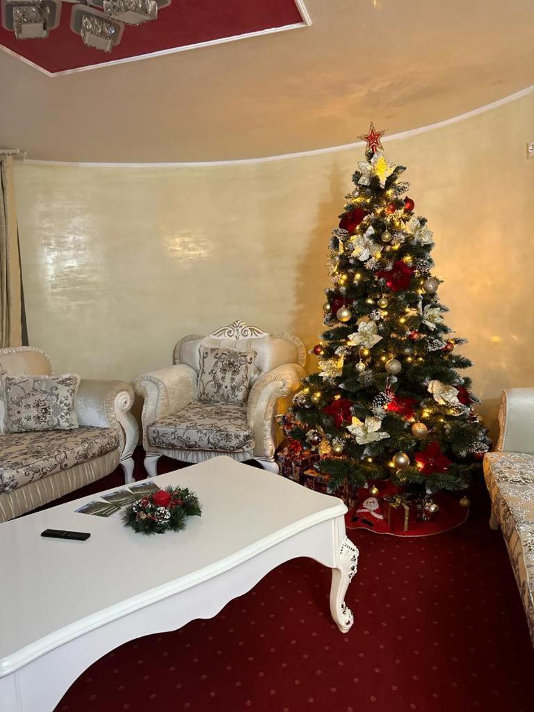 Artemis Villa Poiana Brasov Εξωτερικό φωτογραφία