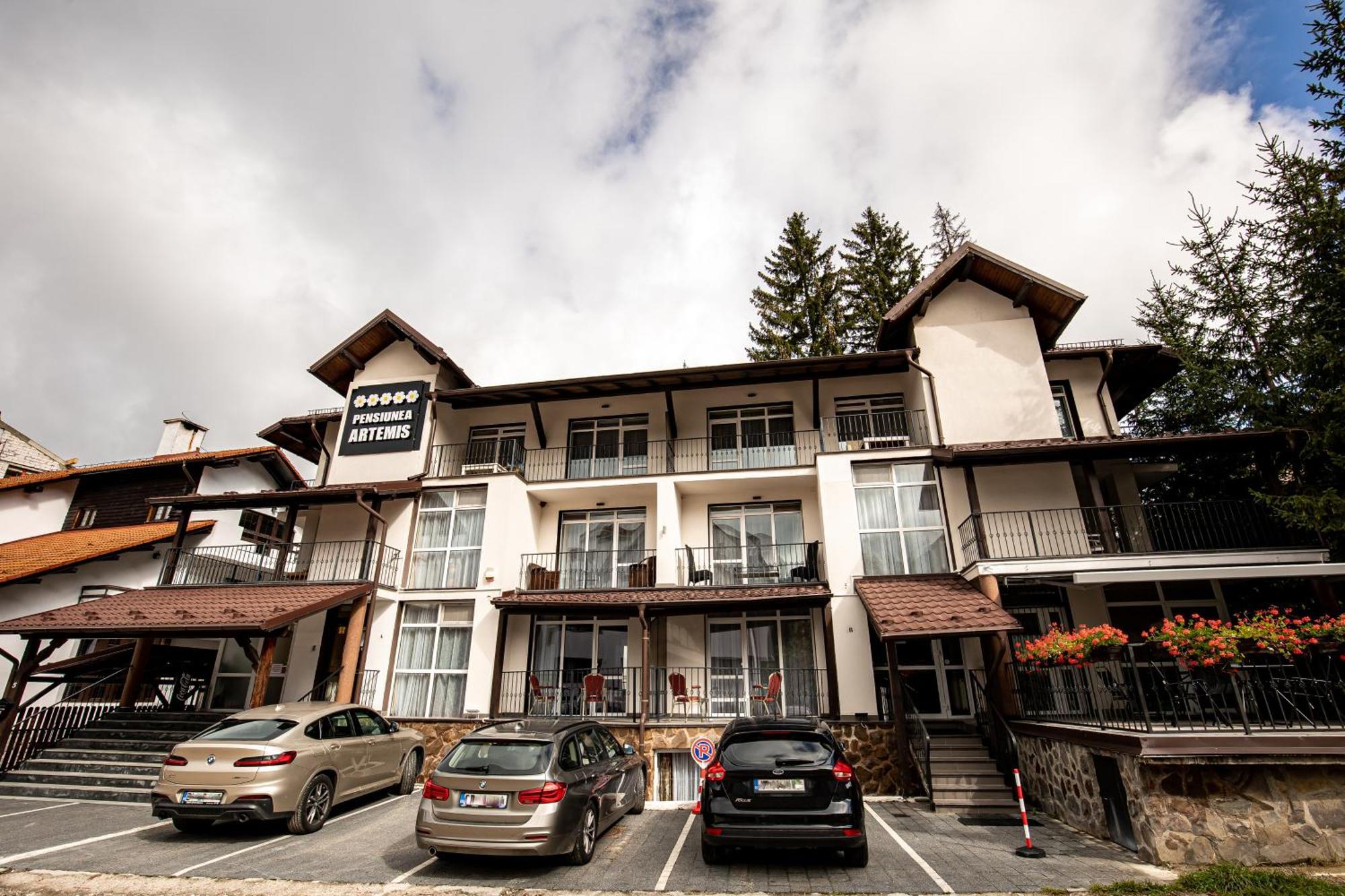 Artemis Villa Poiana Brasov Εξωτερικό φωτογραφία
