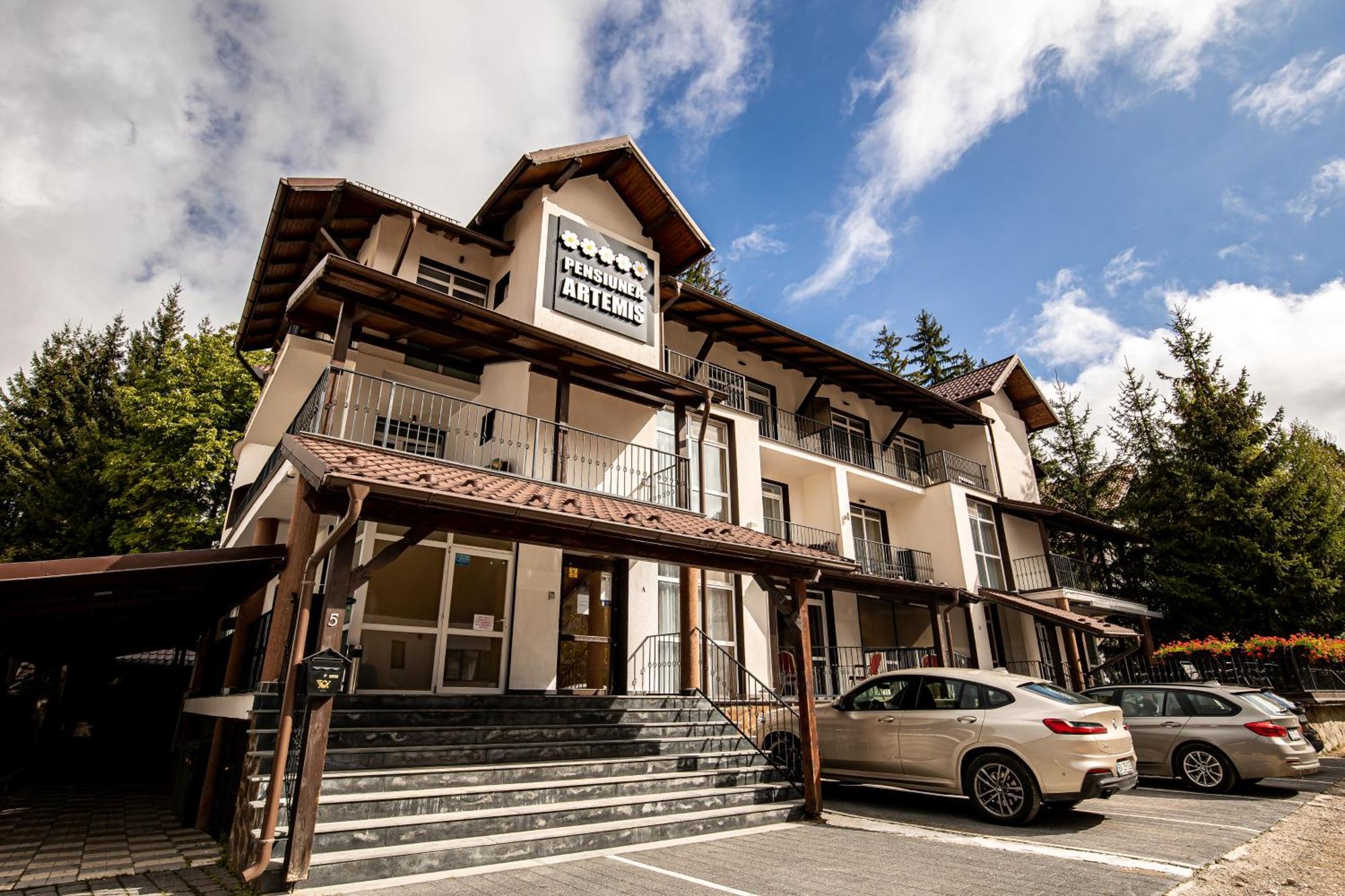 Artemis Villa Poiana Brasov Εξωτερικό φωτογραφία