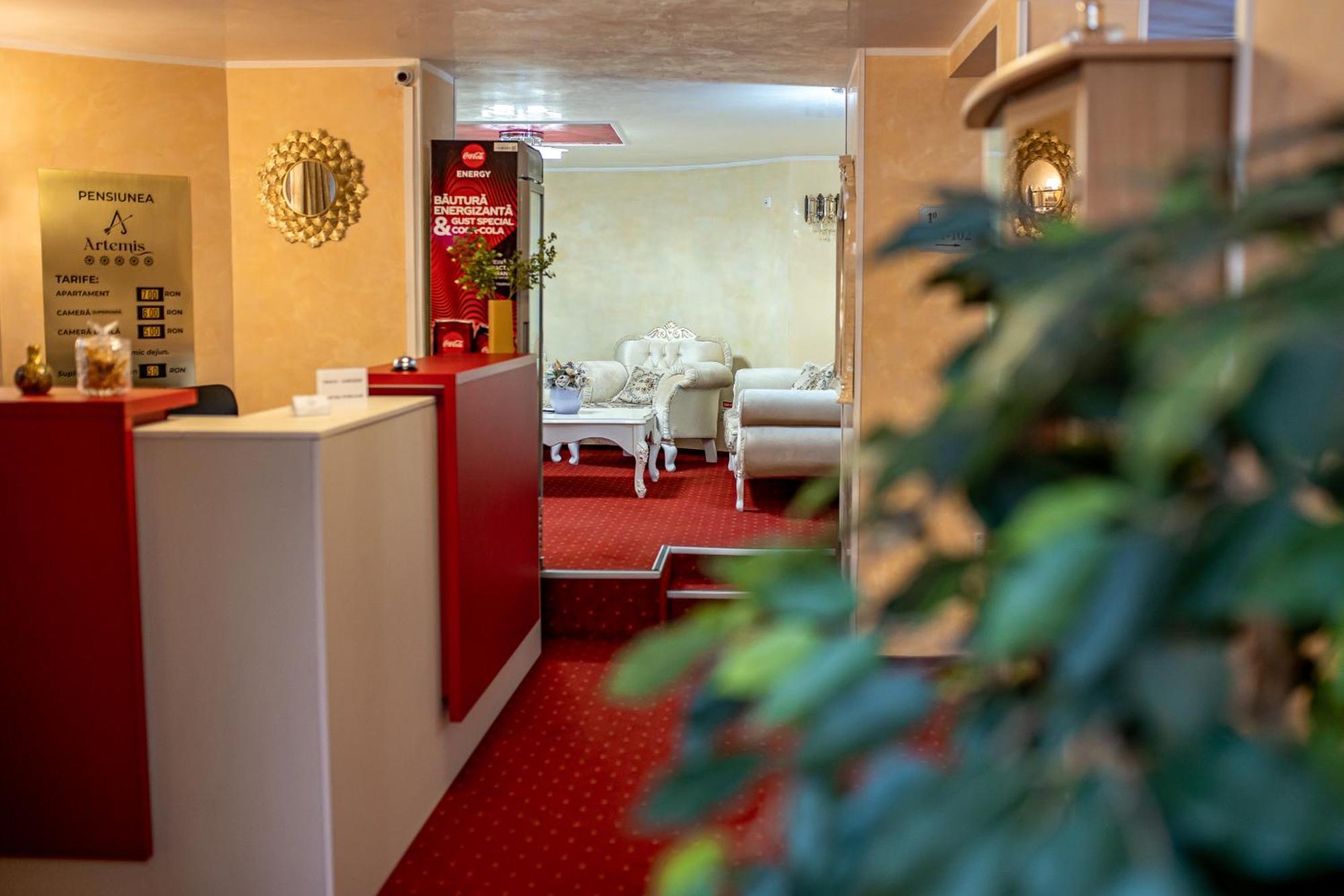 Artemis Villa Poiana Brasov Εξωτερικό φωτογραφία