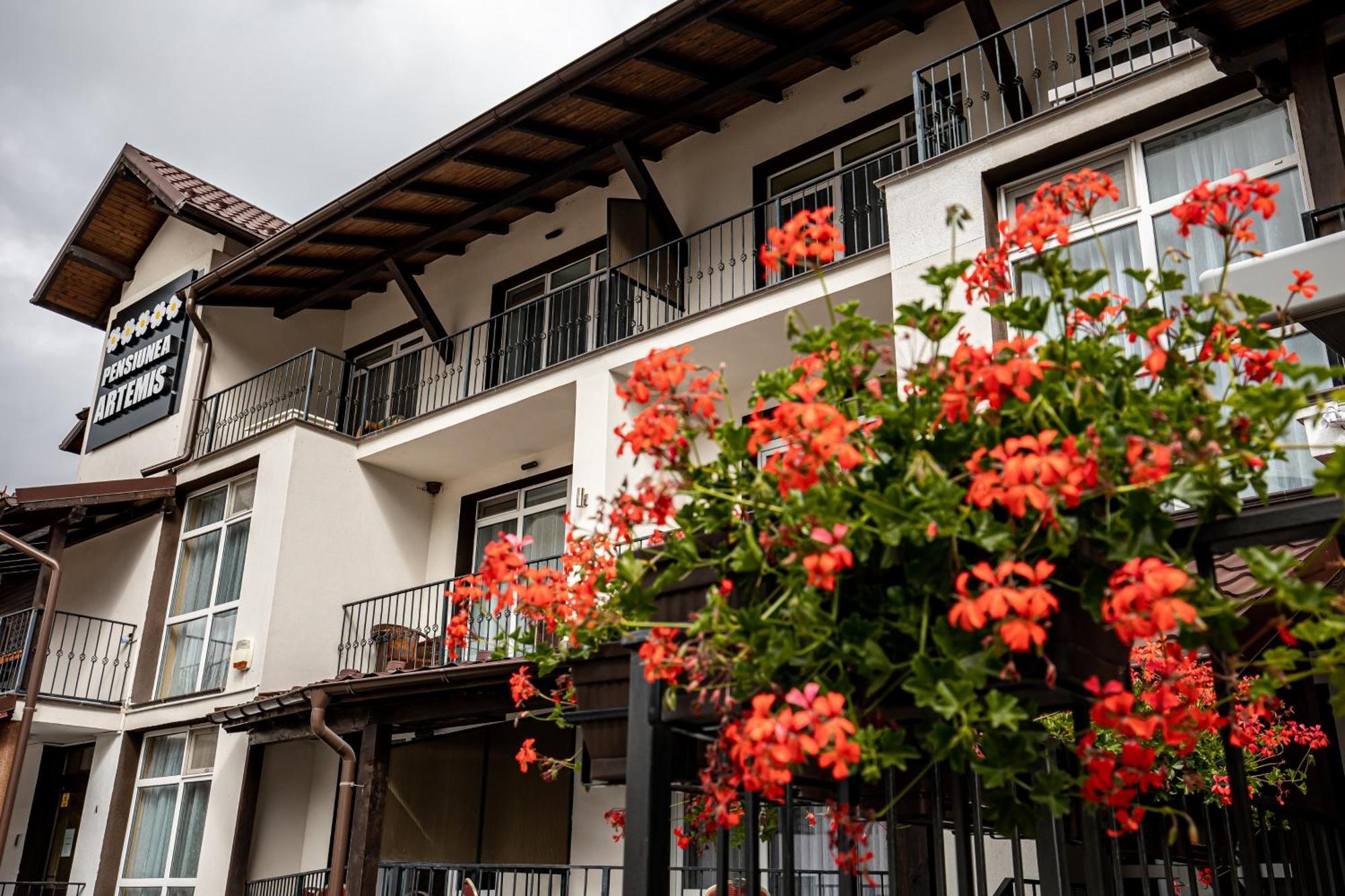 Artemis Villa Poiana Brasov Εξωτερικό φωτογραφία