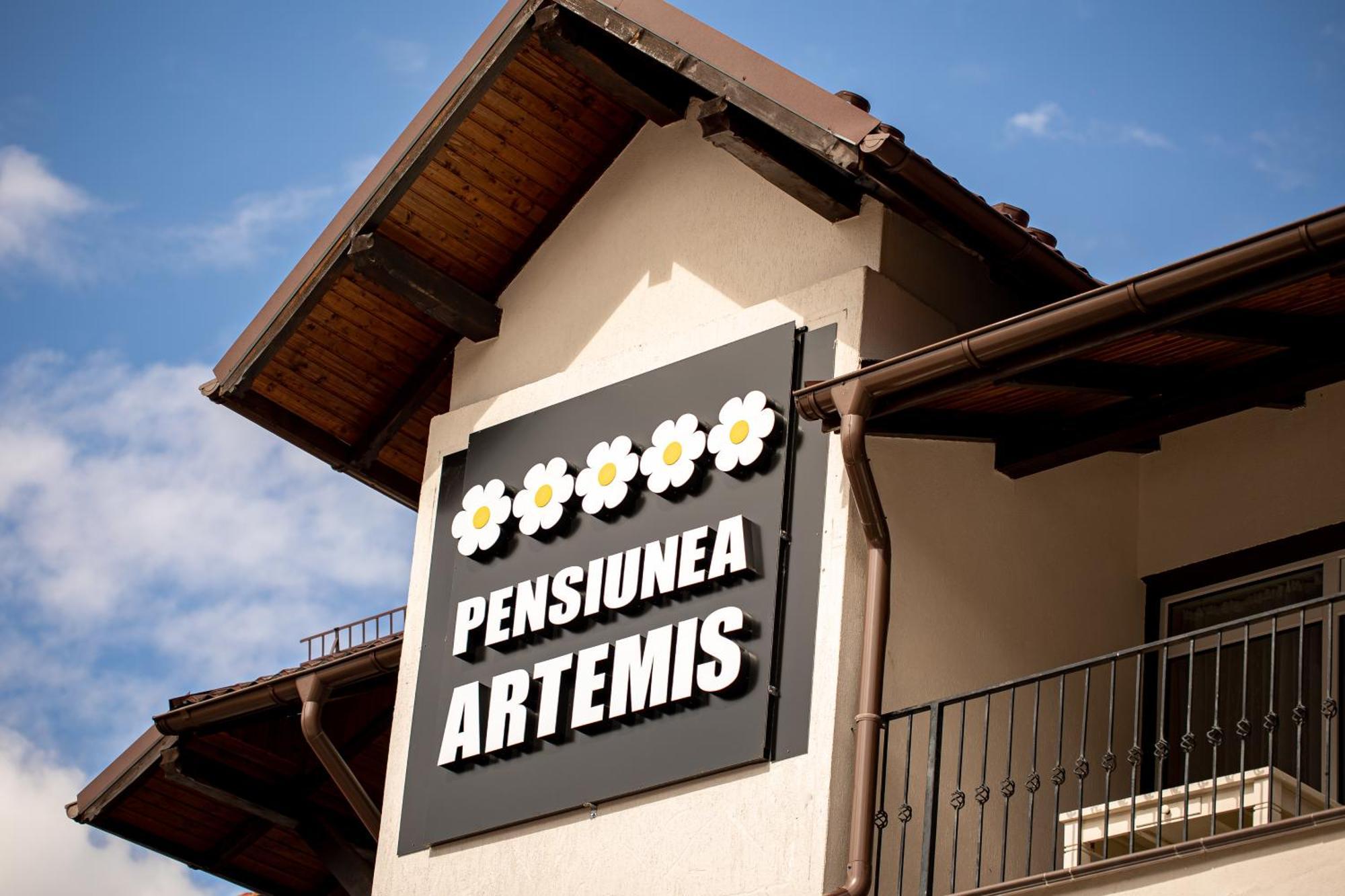 Artemis Villa Poiana Brasov Εξωτερικό φωτογραφία
