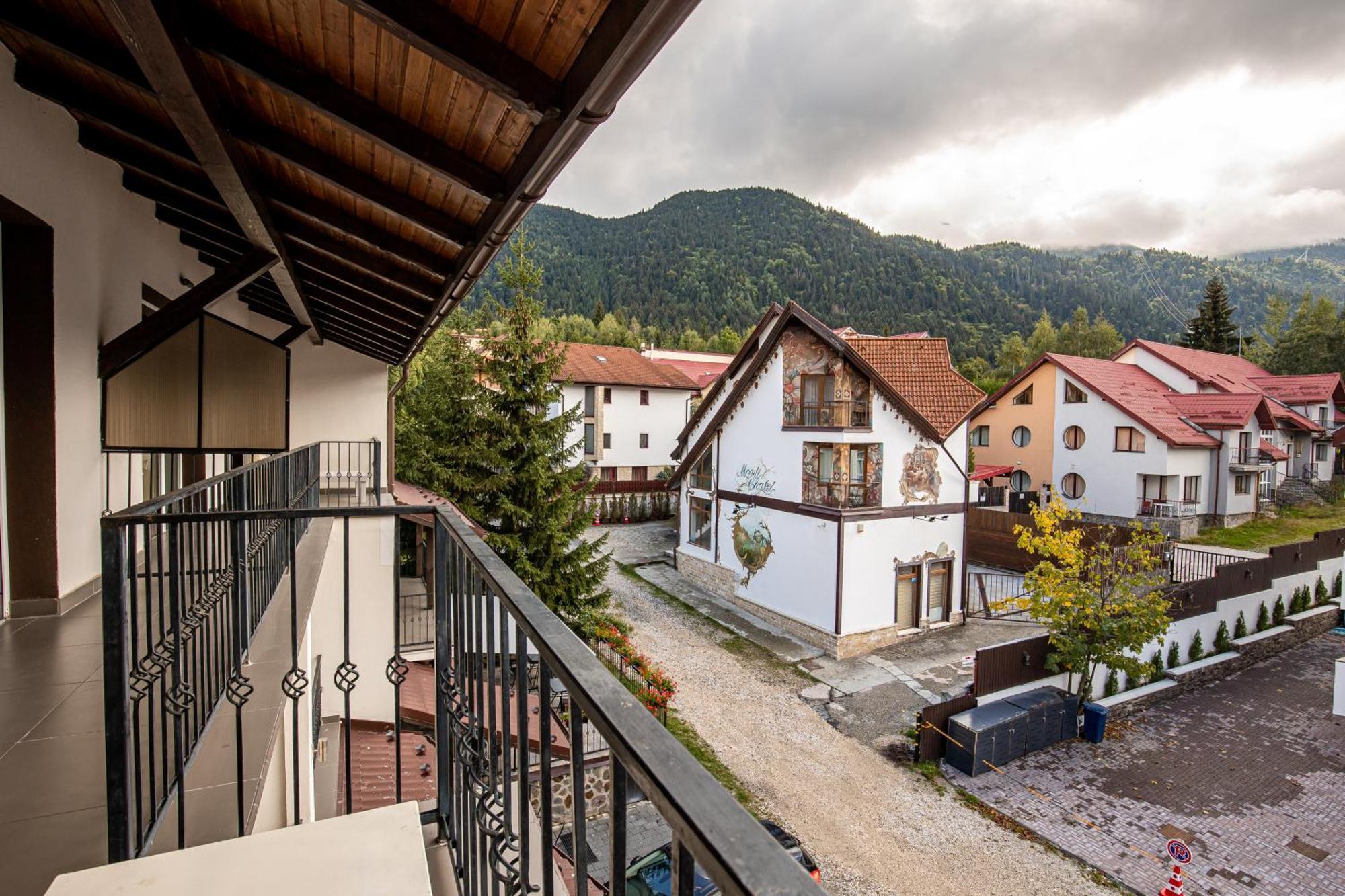 Artemis Villa Poiana Brasov Εξωτερικό φωτογραφία